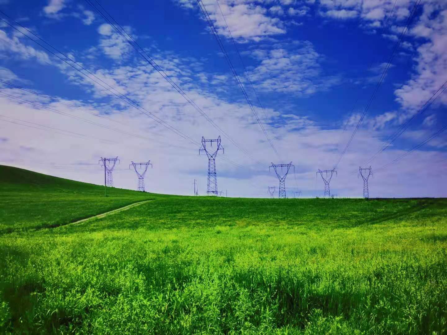 2025中國(guó)（山東）電力設(shè)備狀態(tài)檢測(cè)與監(jiān)測(cè)技術(shù)大會(huì)暨展覽會(huì)